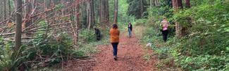 Four people walk through a forested path, one leans into a bush to examine it